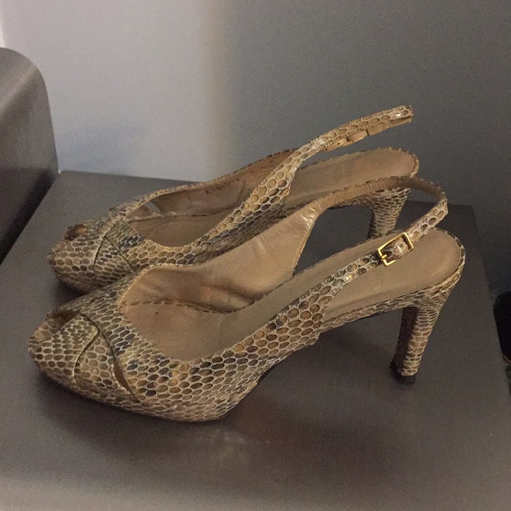 Beautiful Snake Shoes - Picture 2 of 5